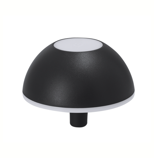 Wijnfles lamp met 48 LED’s – oplaadbare tafellamp voor wijnfles